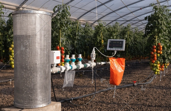 Morocco tomato greenhouse drip fertigation: filtration, dosing, EC/pH monitoring, drainage checks Morocco tomato greenhouse drip fertigation water efficiency