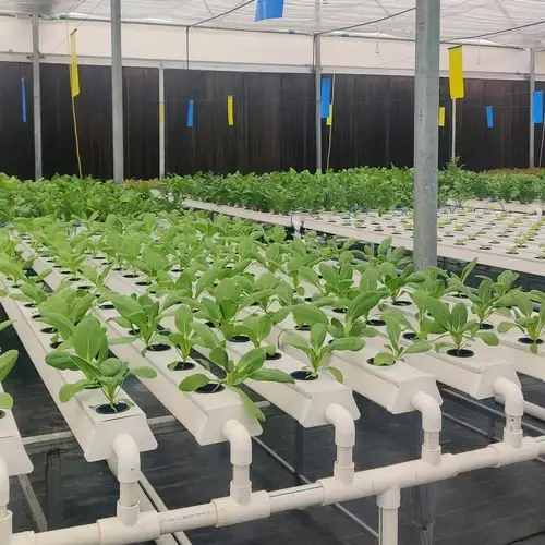 Project images help buyers separate a complete greenhouse offer from a quote that leaves important work undefined. greenhouse project planning image for greenhouse drip irrigation comparison detail