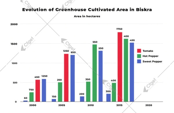 Biskra greenhouse crop mix: tomatoes, hot peppers, sweet peppers and growth trend Biskra greenhouse crop mix peppers tomatoes