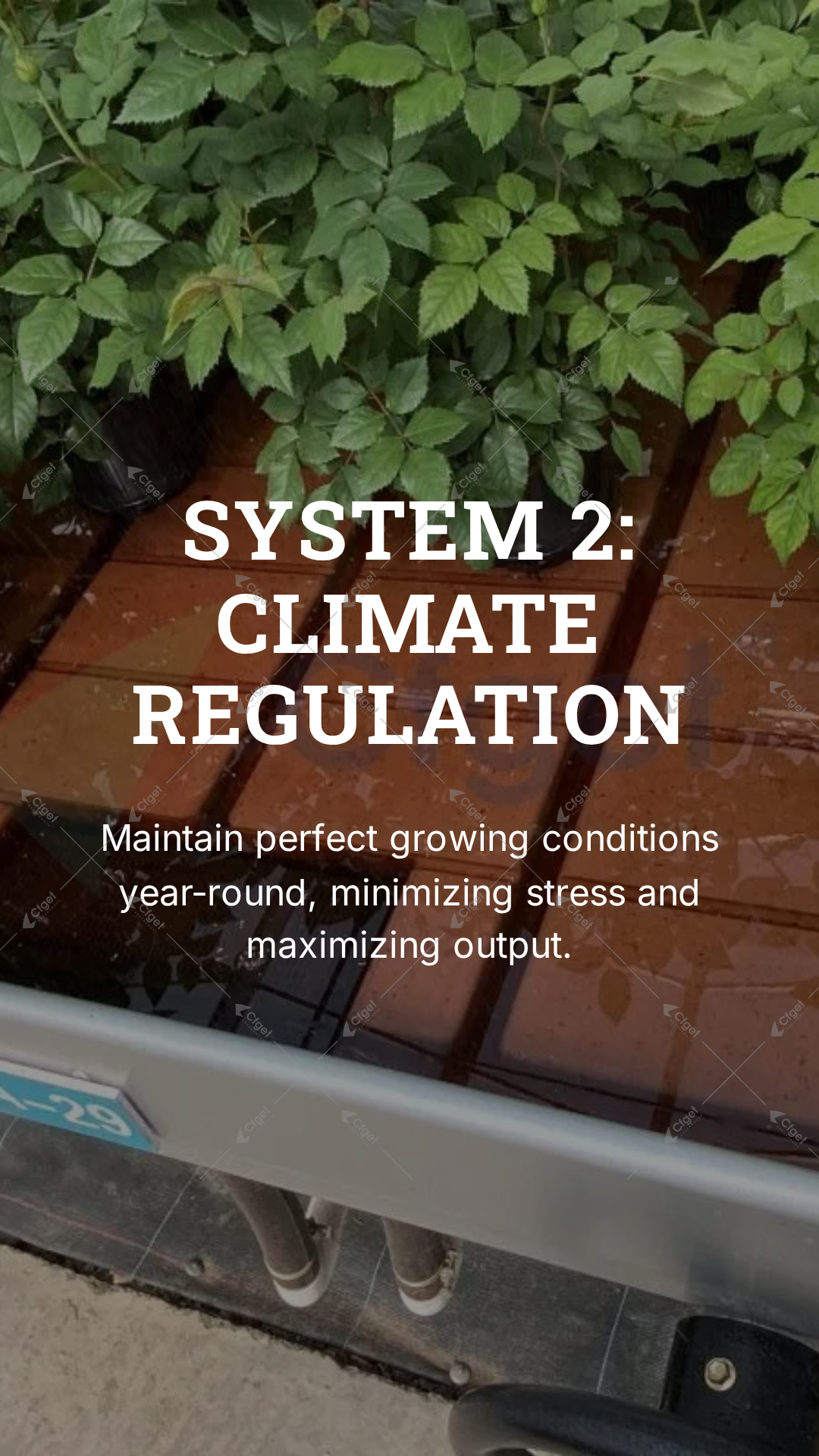 Feishu project case asset from 广告画面社媒素材/海报banner类型: System_2__Climate_Regulation_version_1.png greenhouse climate system for cold climate greenhouse design