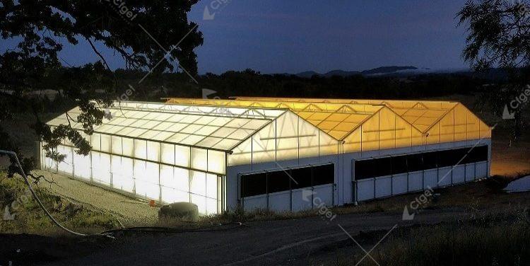 A supplier comparison should be based on drawings, material specifications, system scope, and installation responsibility. greenhouse project planning image for best commercial greenhouse for commercial growers detail