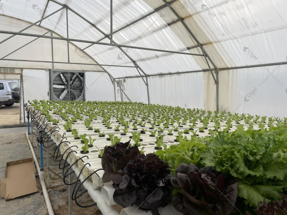 Project images help buyers separate a complete greenhouse offer from a quote that leaves important work undefined. greenhouse project planning image for best commercial greenhouse for commercial growers detail