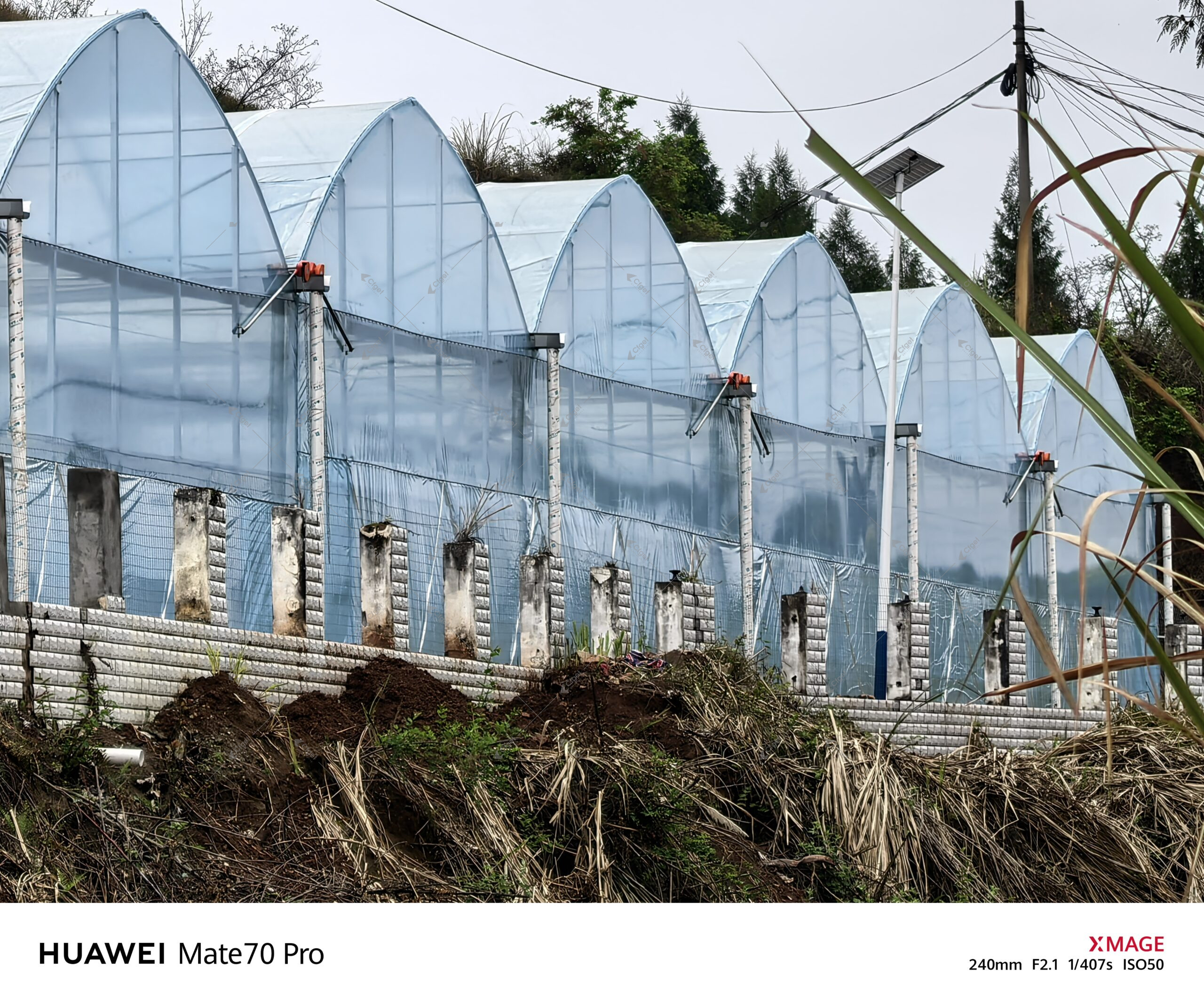 A supplier comparison should be based on drawings, material specifications, system scope, and installation responsibility. greenhouse project planning image for best polycarbonate greenhouse for commercial growers detail