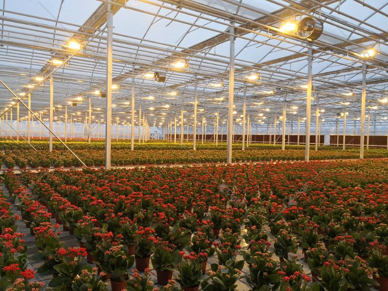 Project images help buyers separate a complete greenhouse offer from a quote that leaves important work undefined. greenhouse project planning image for best polycarbonate greenhouse for commercial growers detail