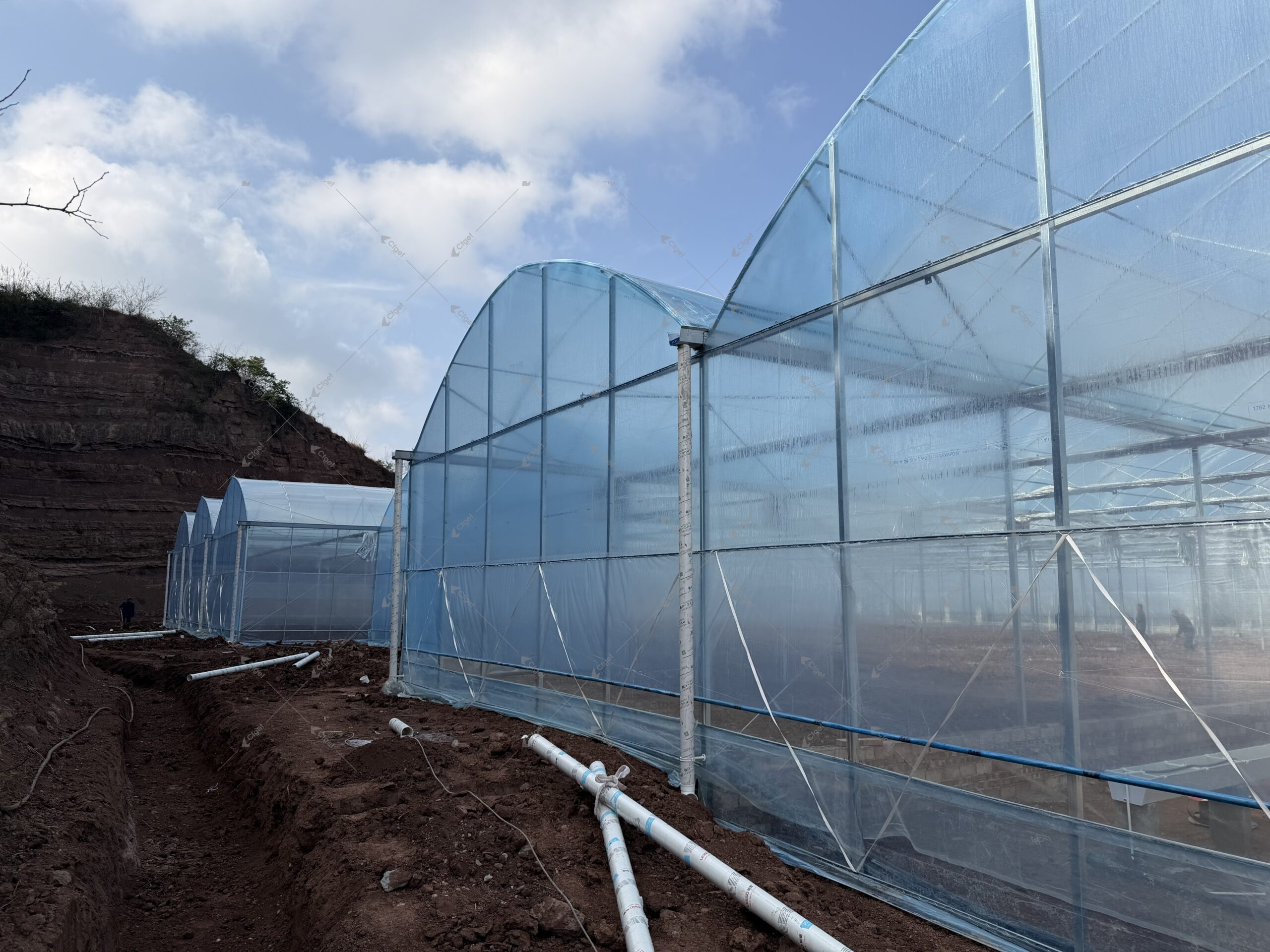 Greenhouse project image showing the kind of scope details buyers should confirm before evaluating ce certificate plastic film greenhouse for vegetables. greenhouse project planning image for CE Certificate Plastic Film Greenhouse for Vegetables overview