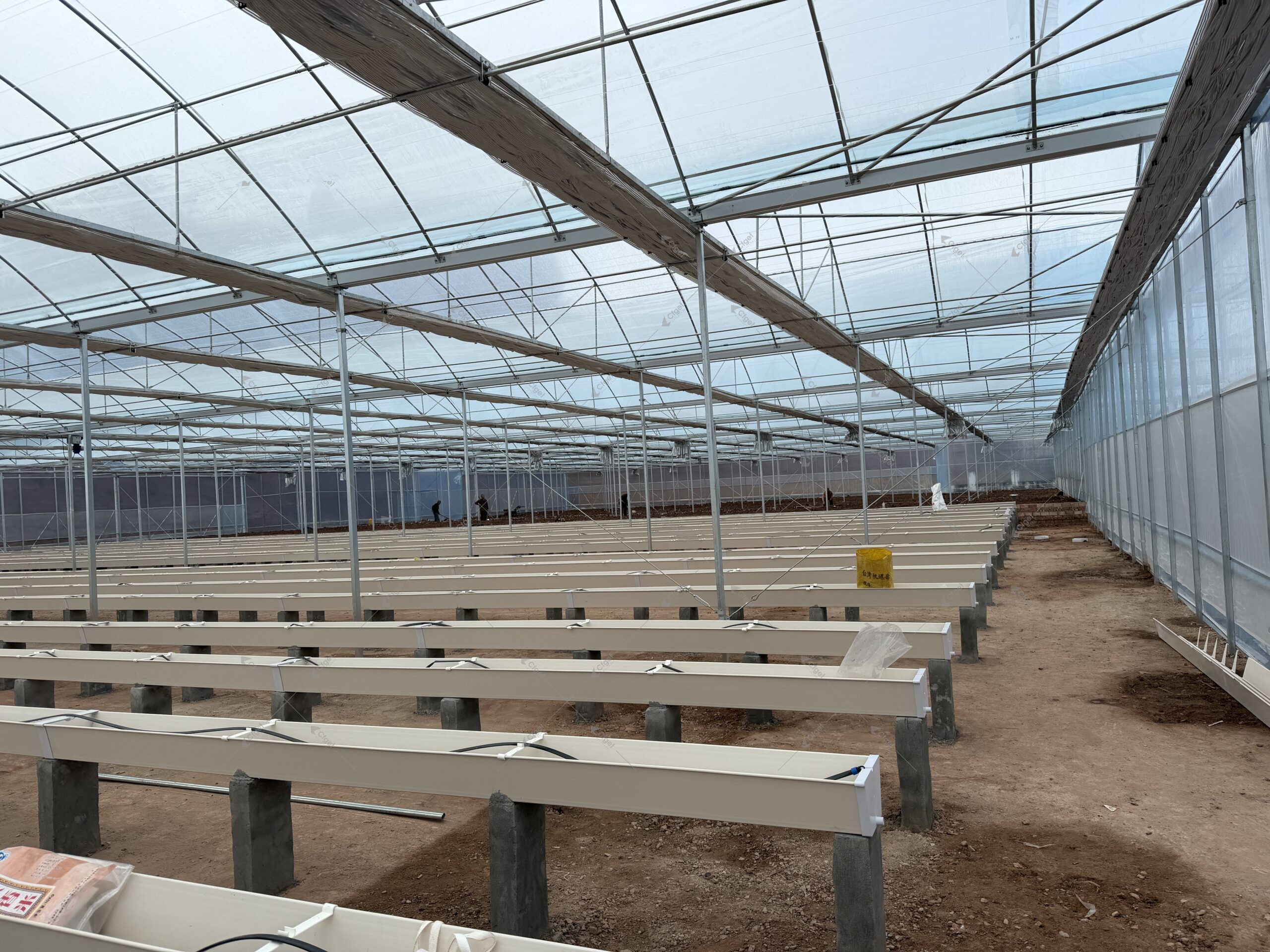 A supplier comparison should be based on drawings, material specifications, system scope, and installation responsibility. greenhouse project planning image for CE Certificate Plastic Film Greenhouse for Vegetables detail