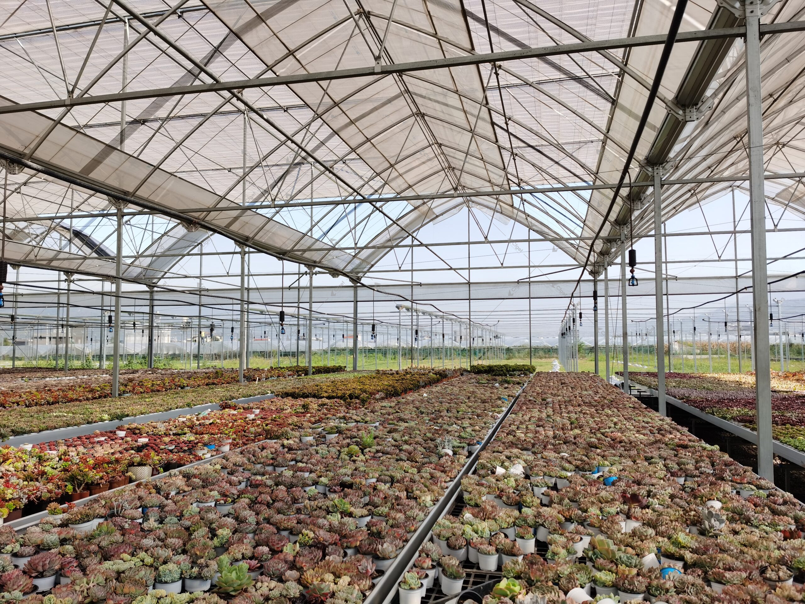 A supplier comparison should be based on drawings, material specifications, system scope, and installation responsibility. greenhouse project planning image for how to choose a greenhouse supplier detail