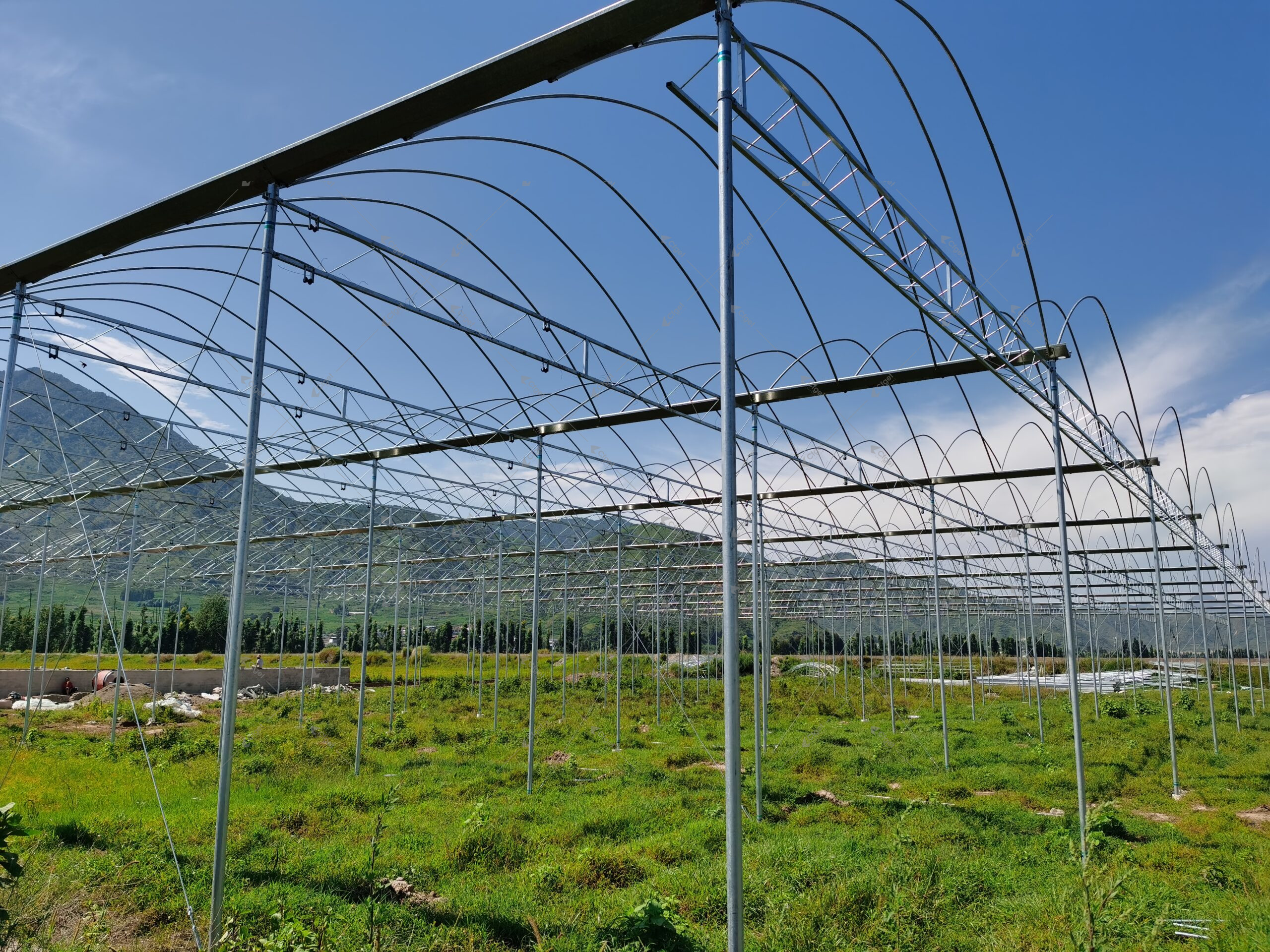 Greenhouse project image showing the kind of scope details buyers should confirm before evaluating commercial greenhouse rfq checklist. greenhouse supplier and RFQ planning image for commercial greenhouse RFQ checklist overview