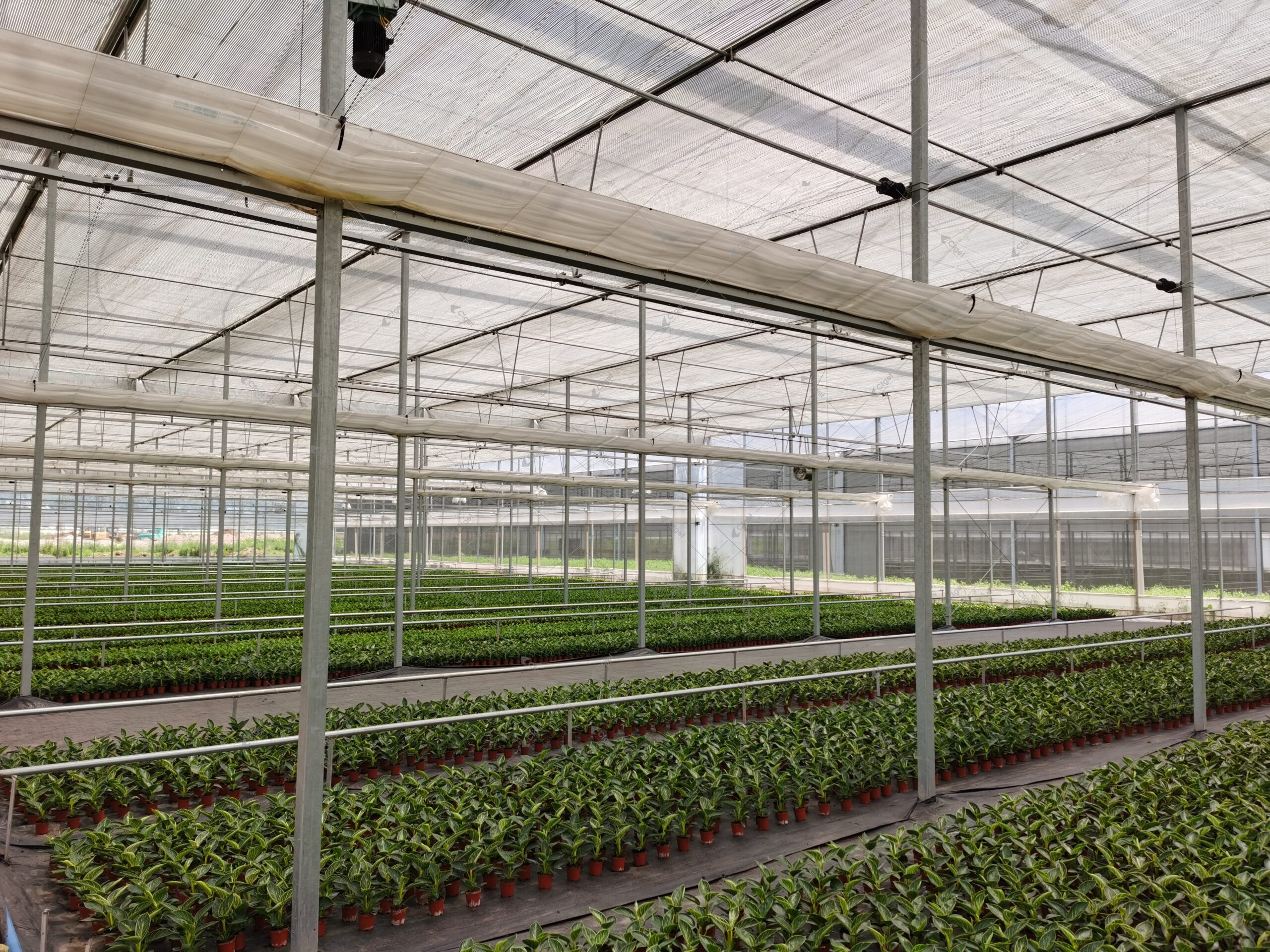 A supplier comparison should be based on drawings, material specifications, system scope, and installation responsibility. greenhouse supplier and RFQ planning image for commercial greenhouse RFQ checklist detail