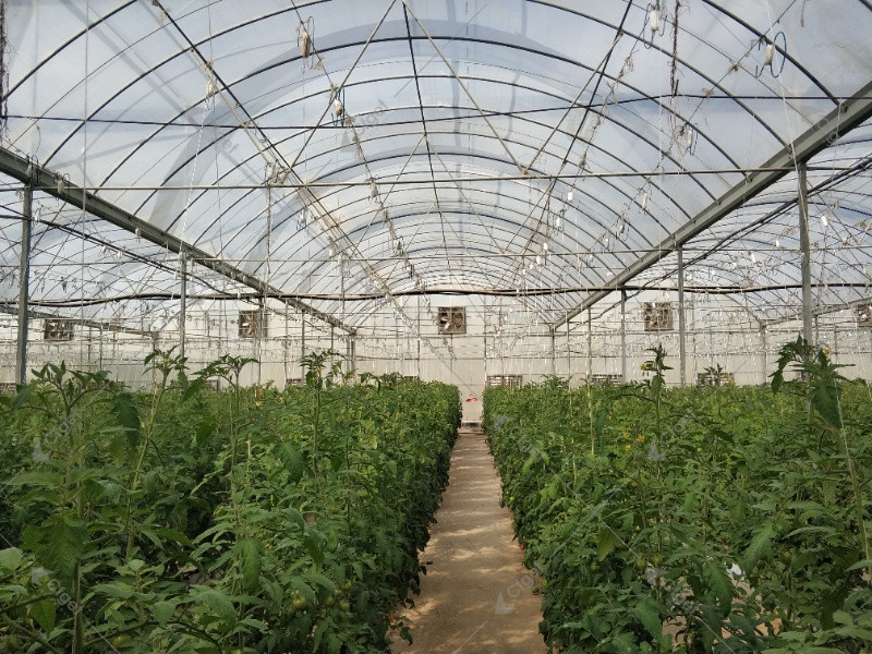 A practical RFQ should make structure, covering, systems, logistics, and after-sales support visible before price is compared. greenhouse project planning image for greenhouse fertigation system detail