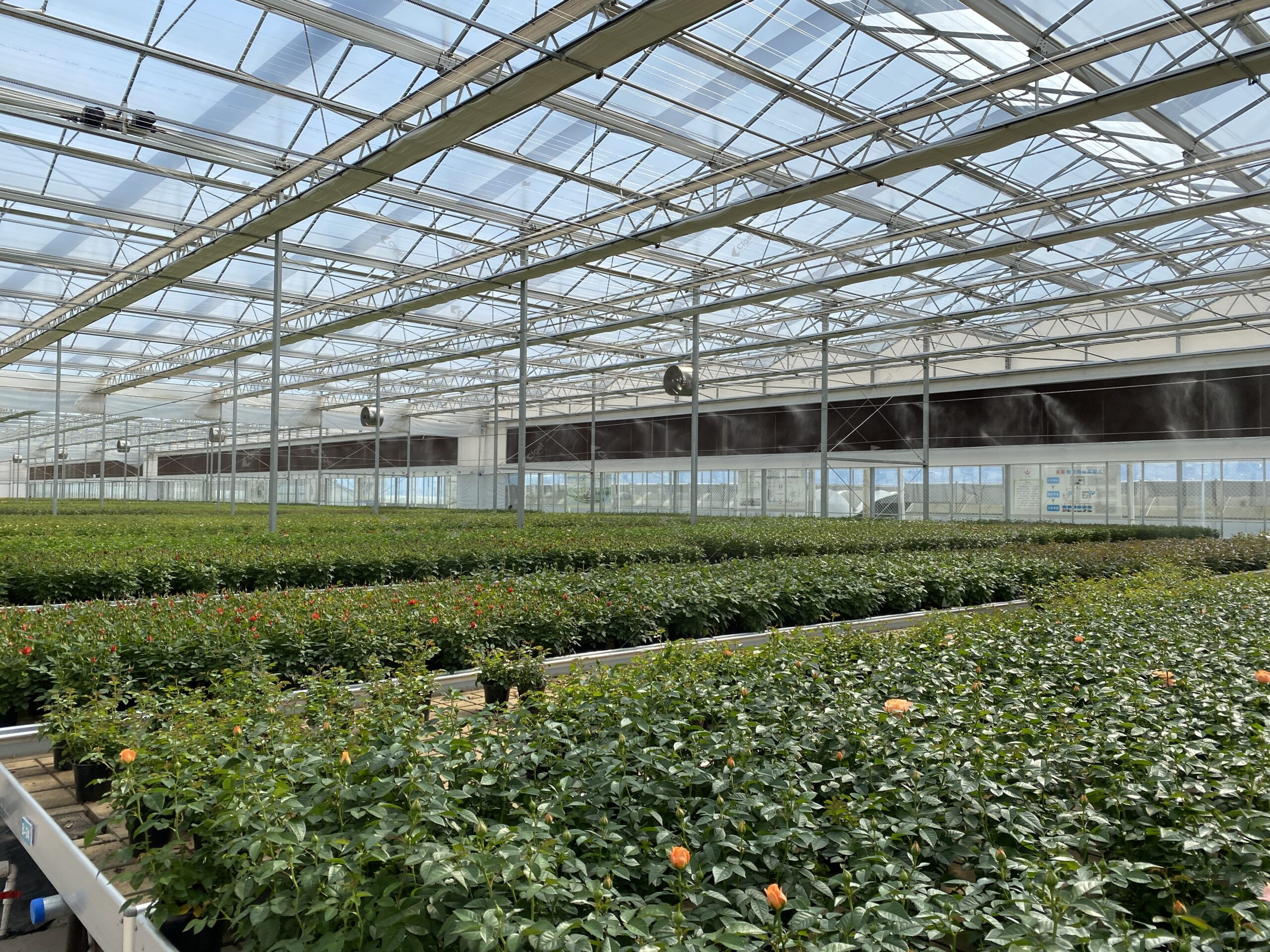 Structure and site details can change greenhouse installation cost factors more than the basic greenhouse size alone. commercial greenhouse project cost planning image for greenhouse installation cost factors detail