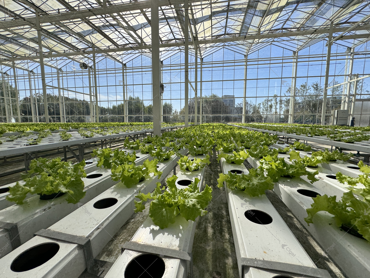 A practical RFQ should make structure, covering, systems, logistics, and after-sales support visible before price is compared. greenhouse project planning image for greenhouse plastic film vs polycarbonate detail