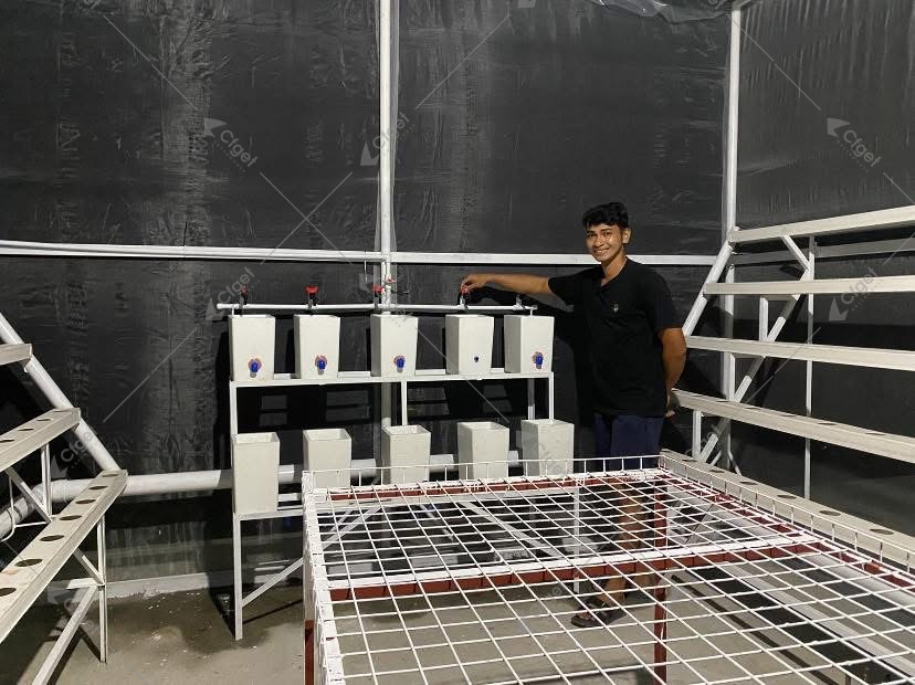A cost comparison should separate frame, covering, systems, foundation, shipping, and installation scope. commercial greenhouse project cost planning image for greenhouse supplier cost factors detail