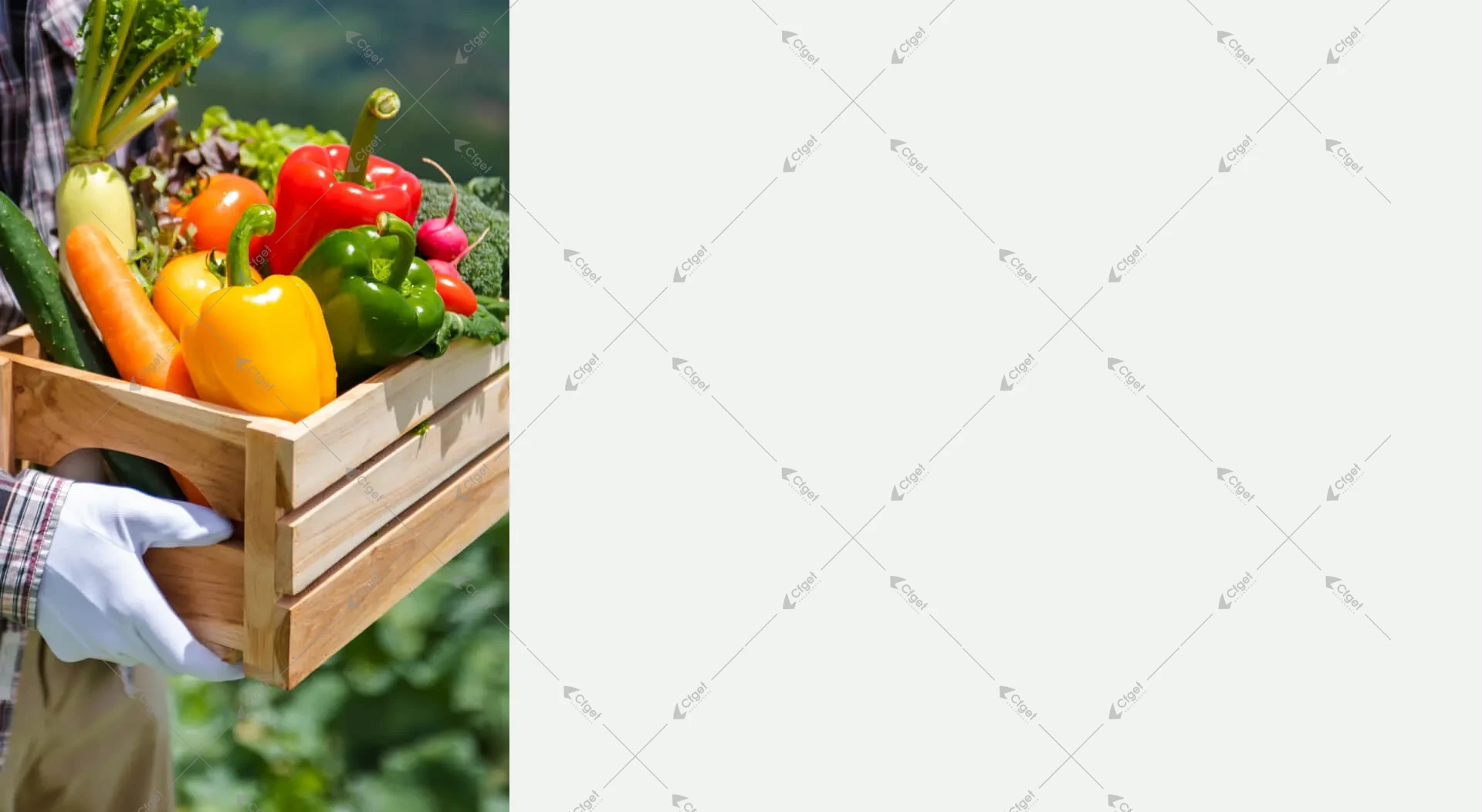 A cost comparison should separate frame, covering, systems, foundation, shipping, and installation scope. commercial greenhouse project cost planning image for tomato greenhouse cost detail