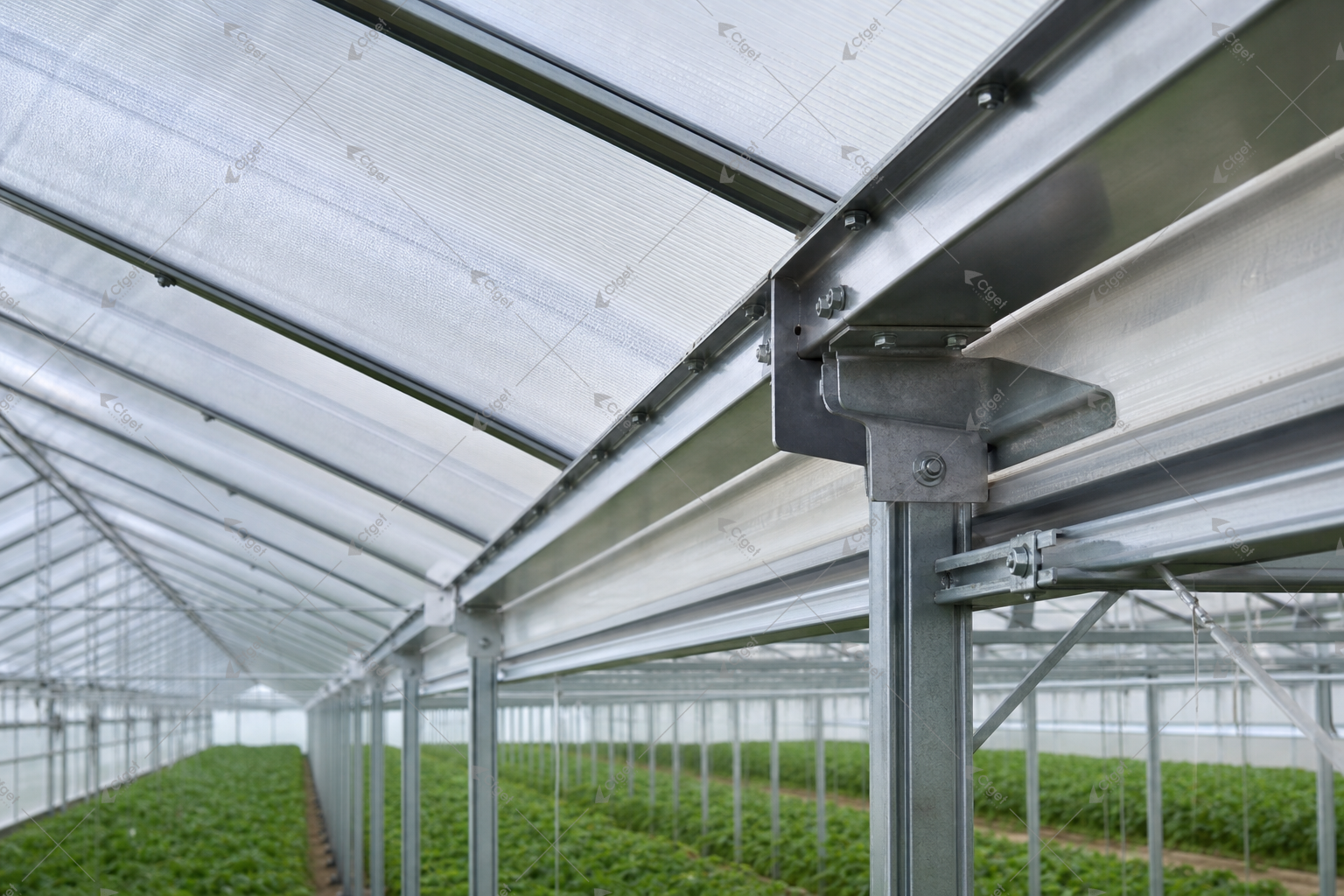 greenhouse supplier and RFQ planning image for 8mm Polycarbonate Greenhouse detail