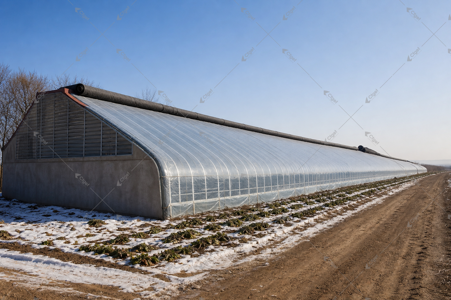 greenhouse supplier and RFQ planning image for Agricultural Solar Greenhouse overview