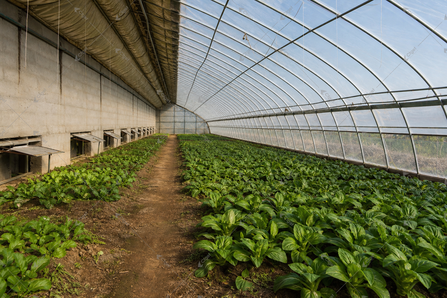 A supplier comparison should be based on drawings, material specifications, system scope, and installation responsibility. greenhouse supplier and RFQ planning image for Agricultural Solar Greenhouse detail