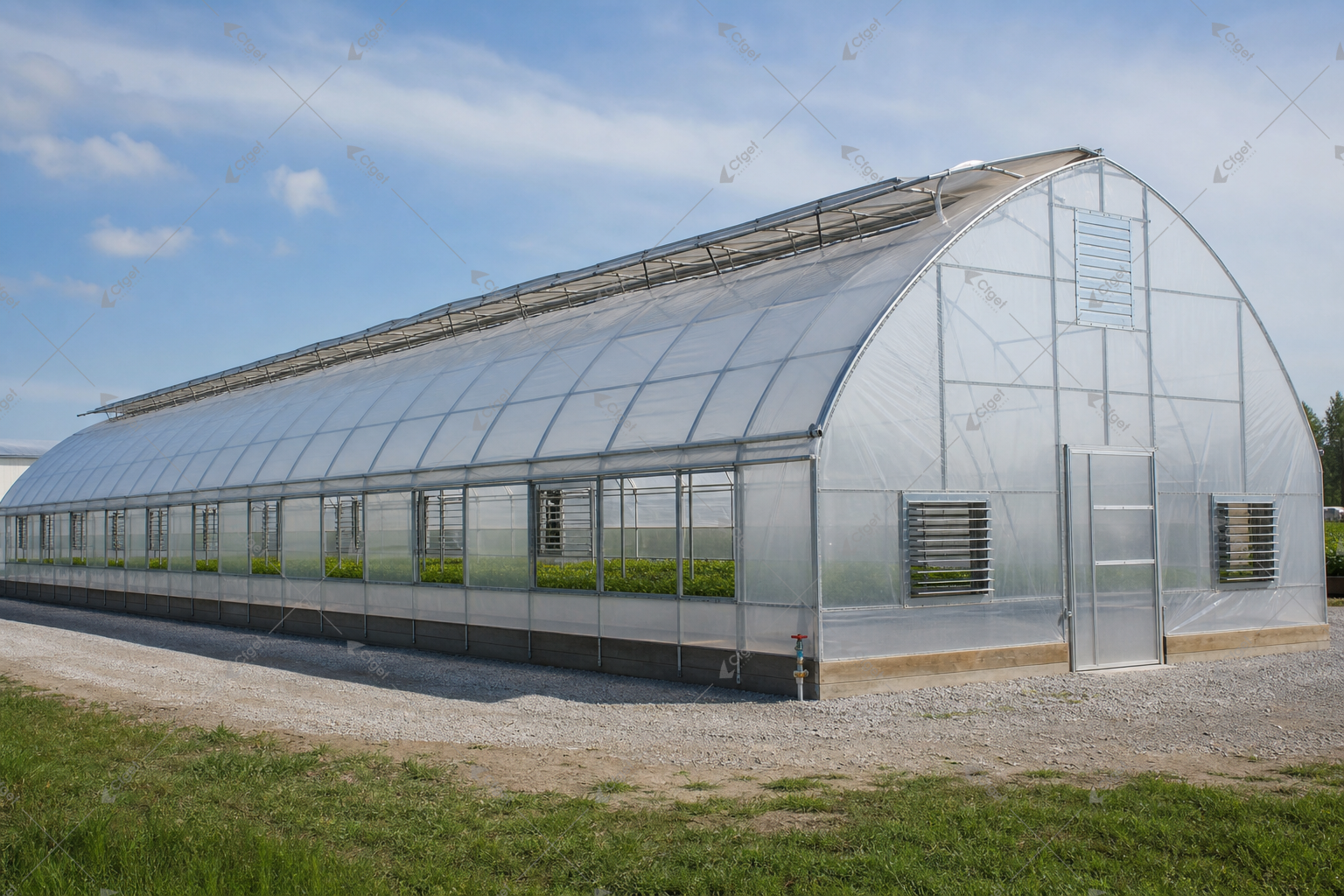 greenhouse supplier and RFQ planning image for Arch Greenhouse overview