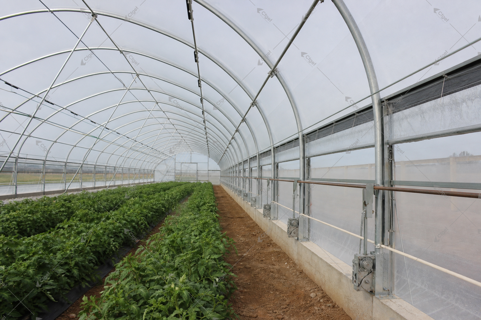 greenhouse supplier and RFQ planning image for Arch Greenhouse detail