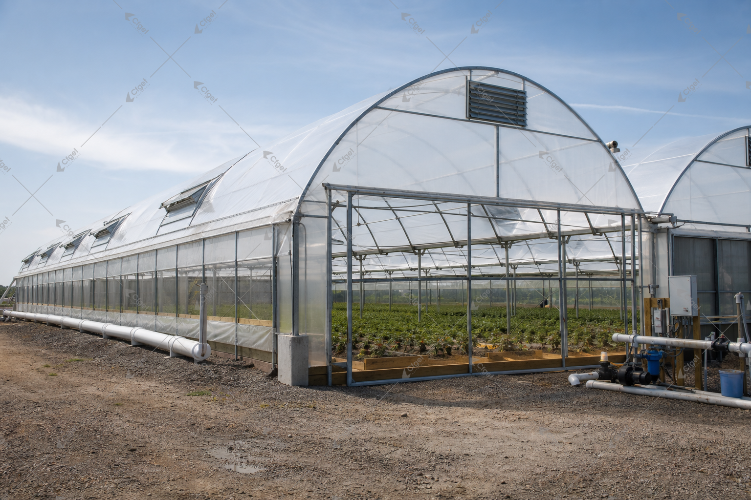 greenhouse supplier and RFQ planning image for Arch Greenhouse detail
