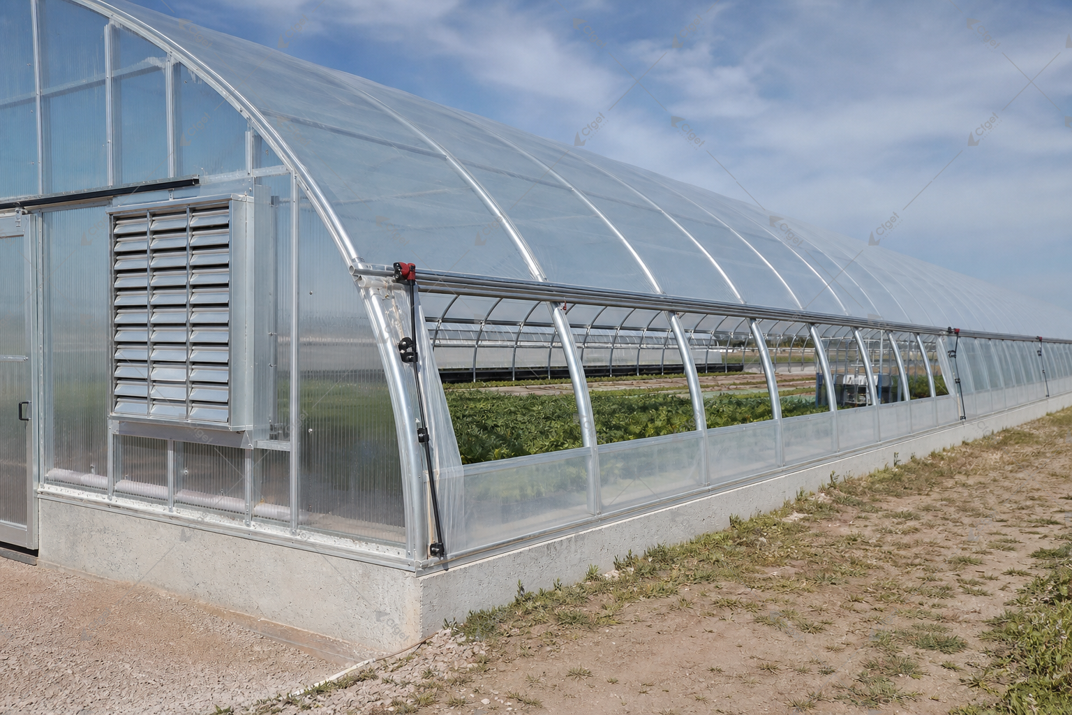 greenhouse supplier and RFQ planning image for Arch Greenhouse detail