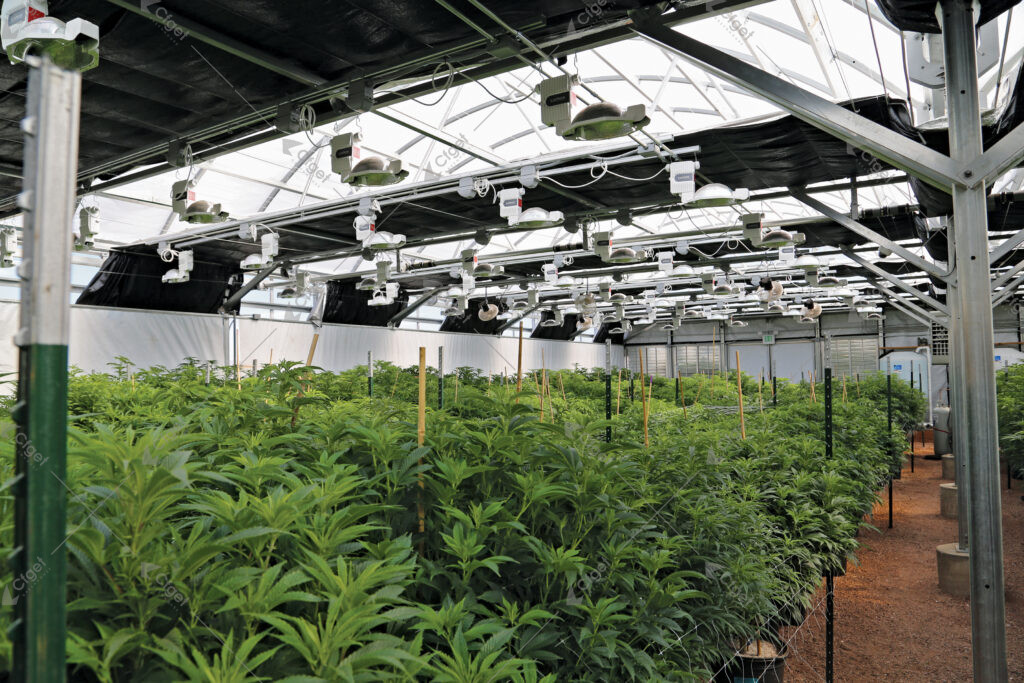 Project images help buyers separate a complete greenhouse offer from a quote that leaves important work undefined. greenhouse project planning image for Automated Light Dep Greenhouse detail