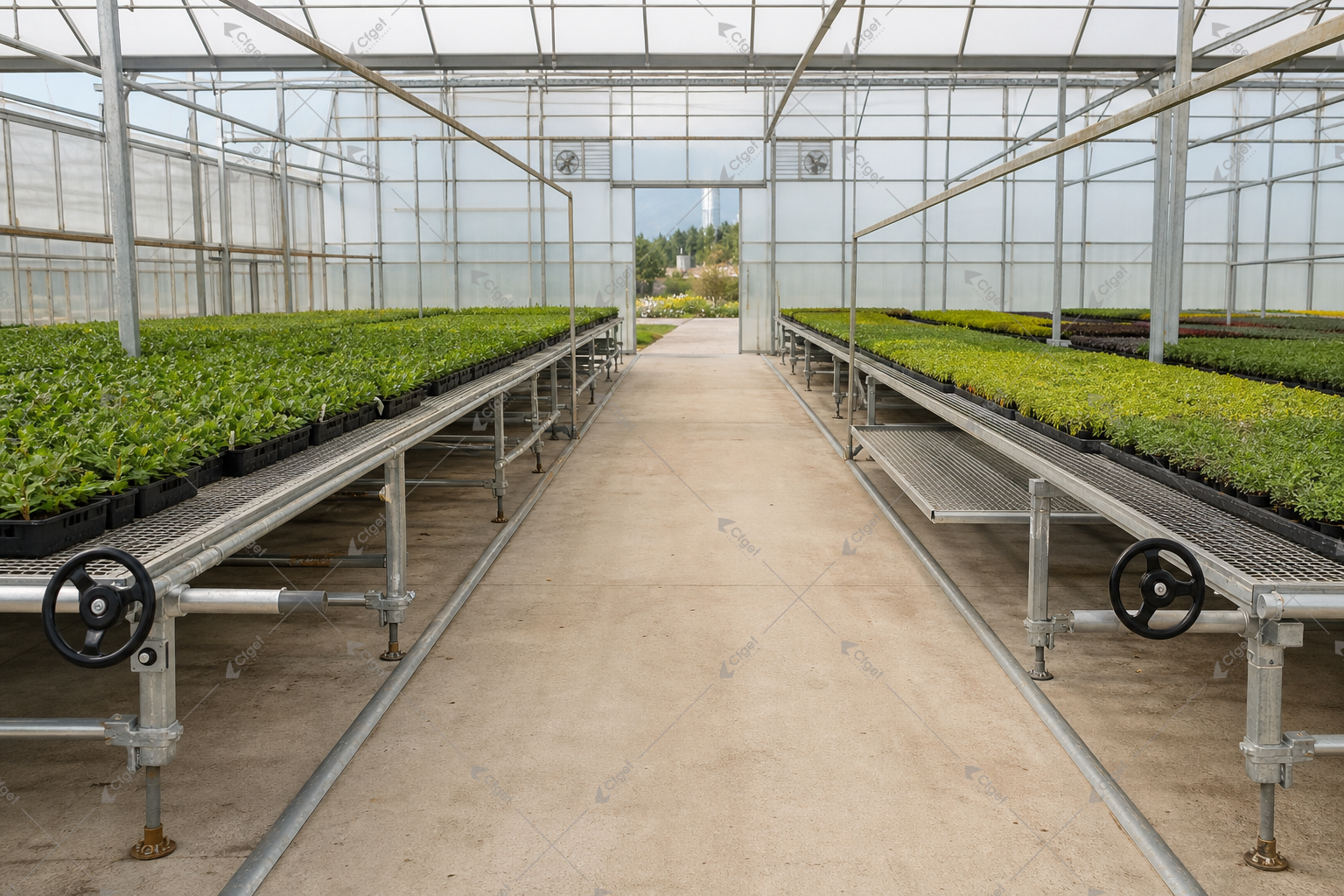 greenhouse supplier and RFQ planning image for Benches For Greenhouse detail