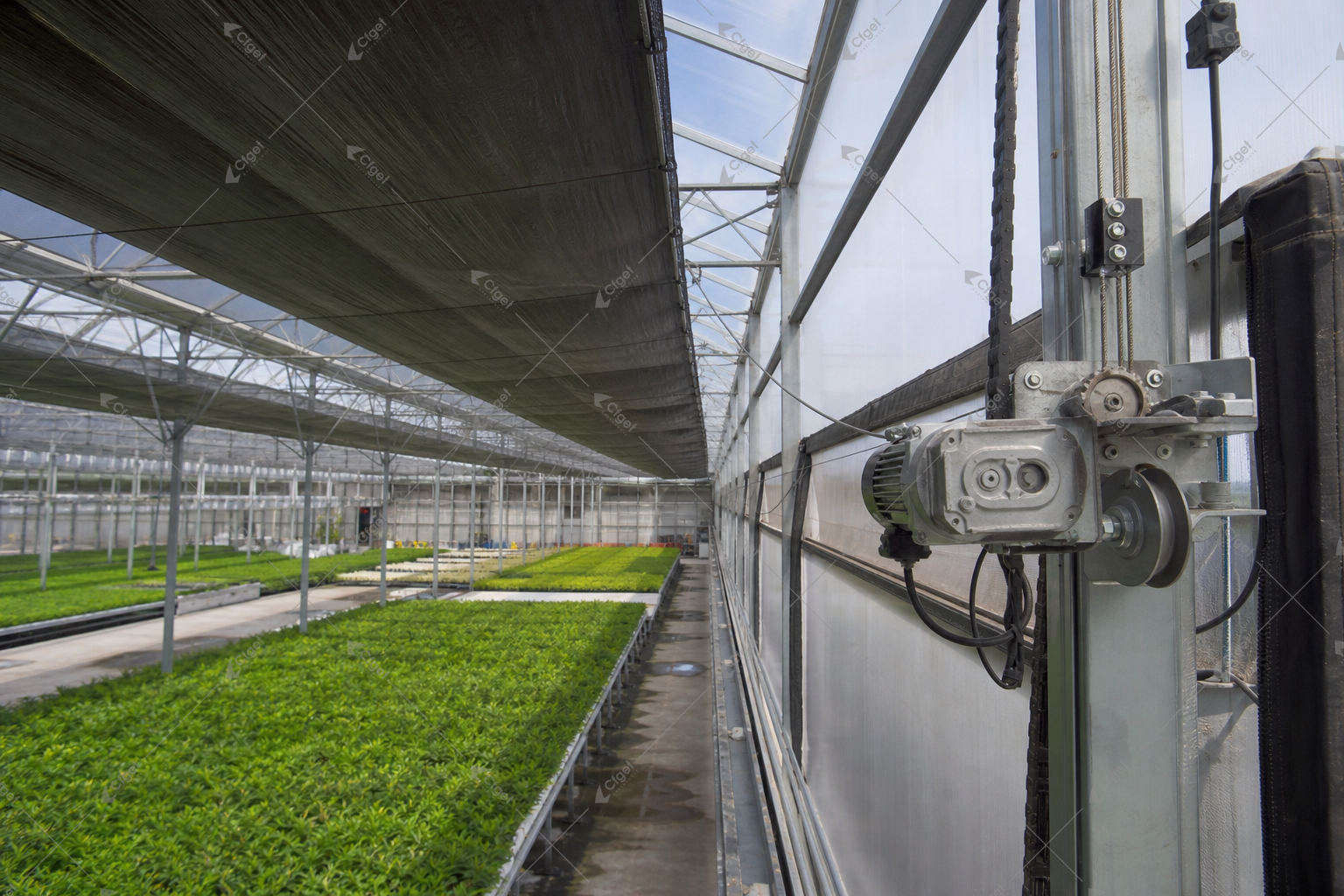 greenhouse supplier and RFQ planning image for Black Out Greenhouse detail