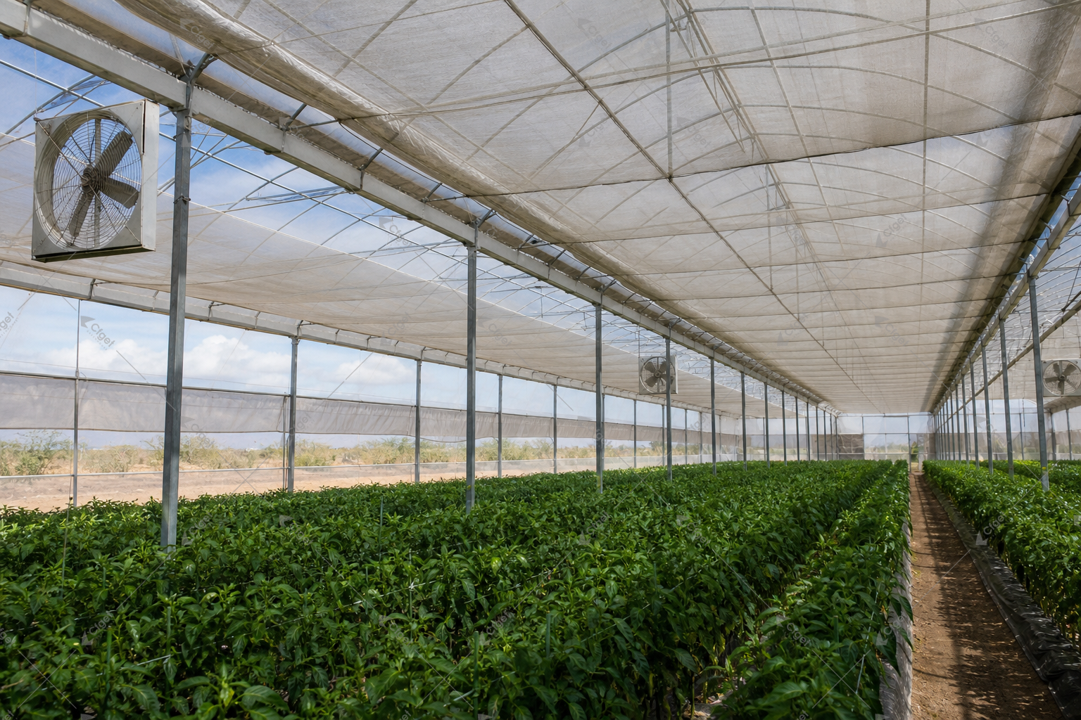 greenhouse supplier and RFQ planning image for greenhouse cooling system for hot climates detail