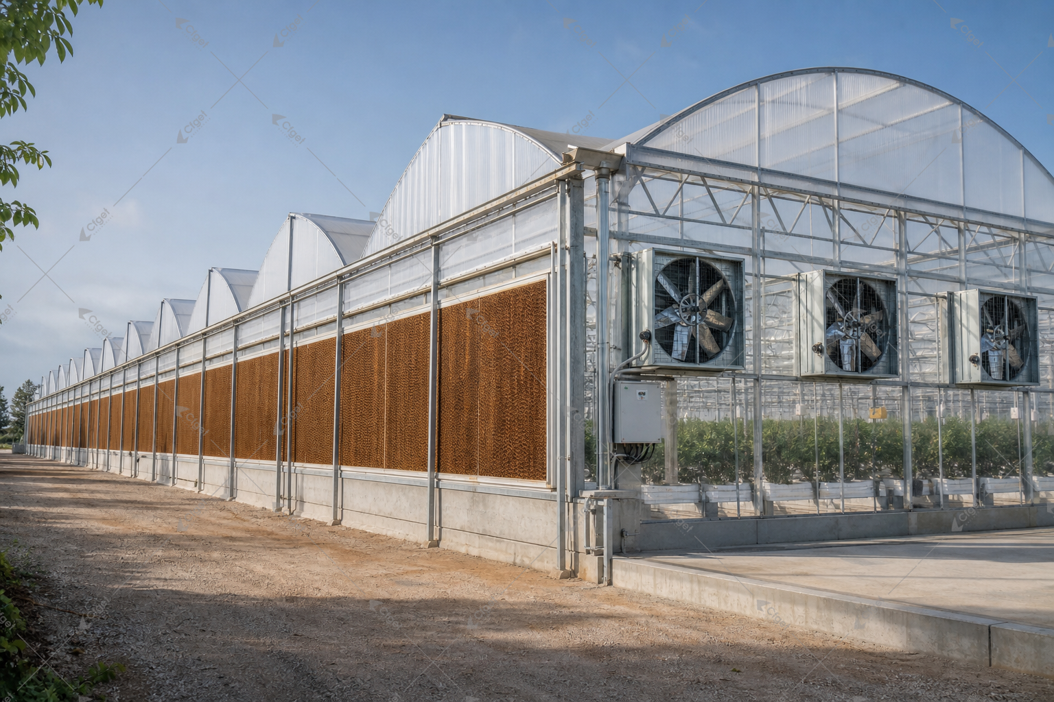greenhouse supplier and RFQ planning image for greenhouse cooling system mistakes to avoid overview