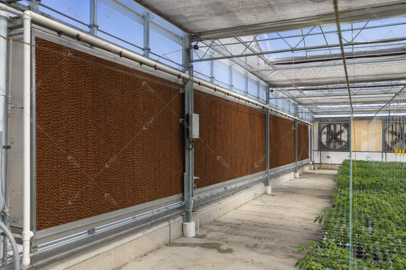 greenhouse supplier and RFQ planning image for greenhouse cooling system mistakes to avoid detail