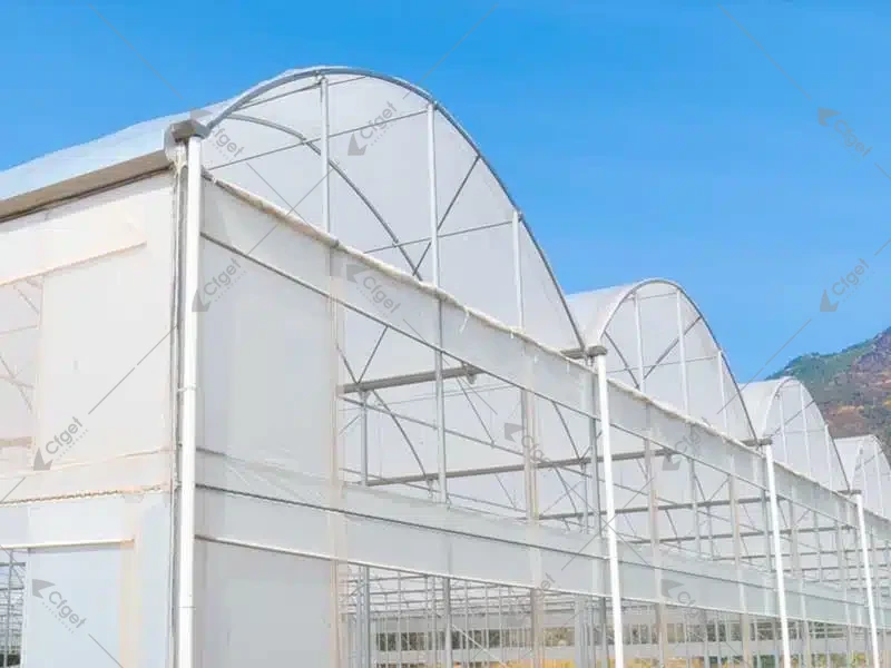Project images help buyers separate a complete greenhouse offer from a quote that leaves important work undefined. greenhouse supplier and RFQ planning image for greenhouse irrigation system supplier detail