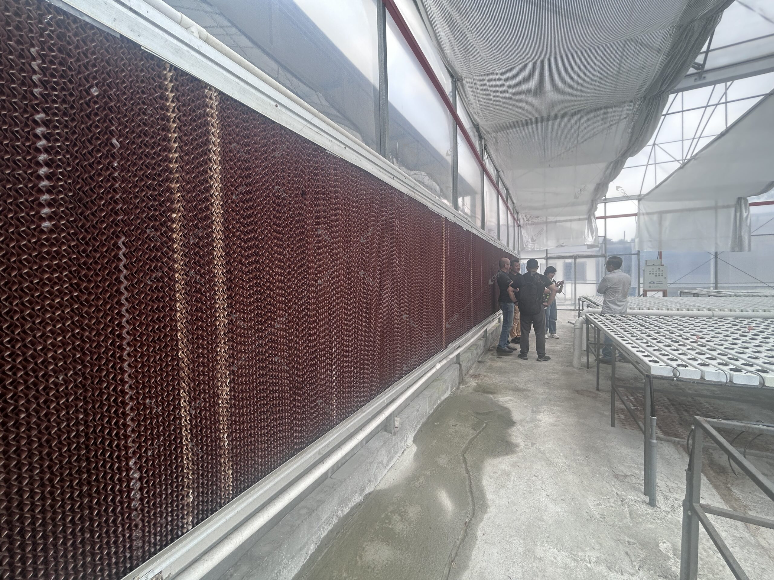 A practical RFQ should make structure, covering, systems, logistics, and after sales support visible before price is compared. greenhouse supplier and RFQ planning image for greenhouse irrigation system supplier detail