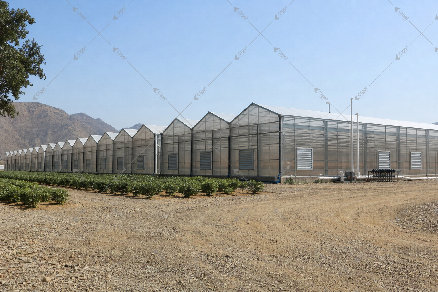 Greenhouse project image showing the kind of scope details buyers should confirm before evaluating greenhouse supplier for hot climates. greenhouse supplier and RFQ planning image for greenhouse supplier for hot climates overview