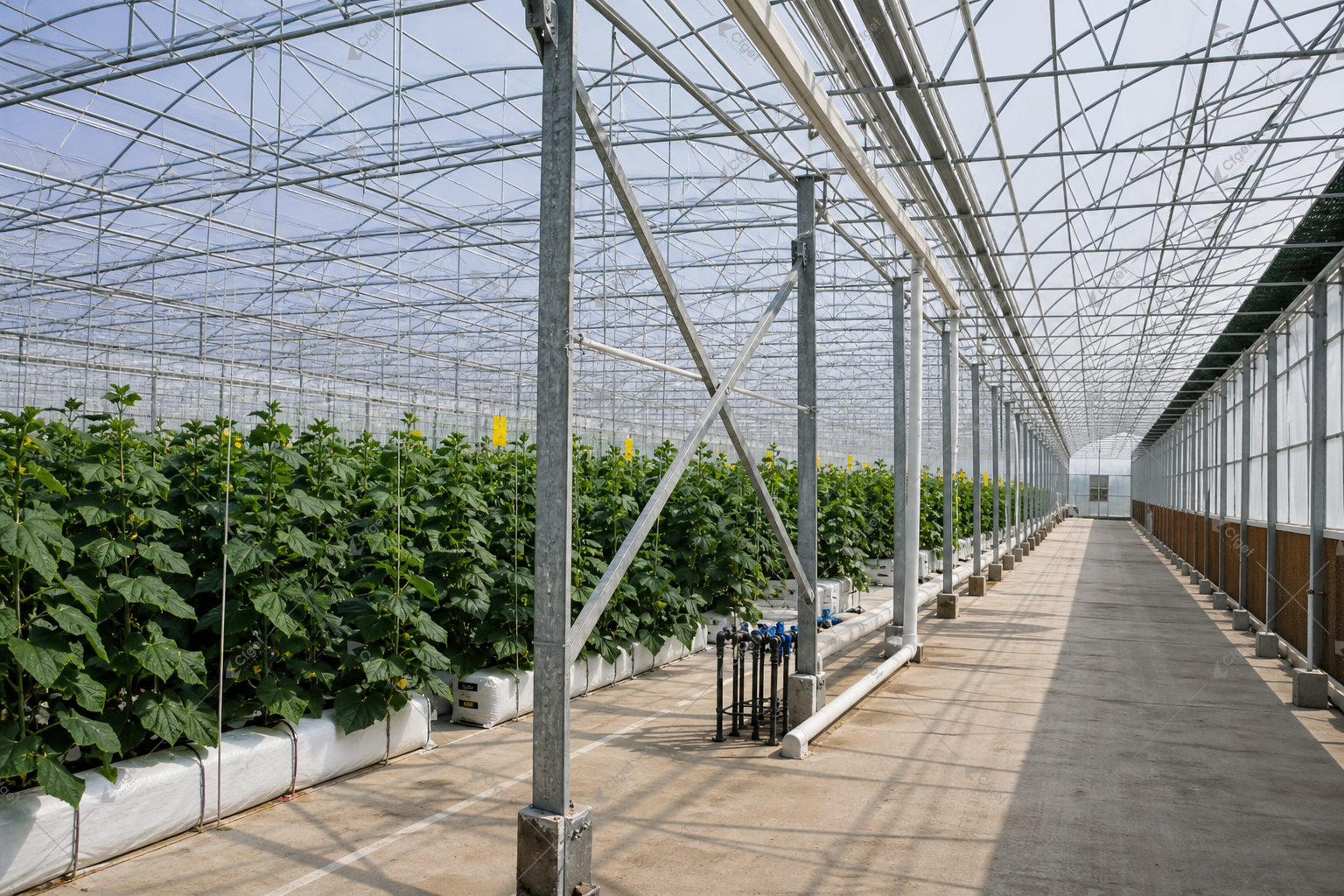 A supplier comparison should be based on drawings, material specifications, system scope, and installation responsibility. greenhouse supplier and RFQ planning image for greenhouse supplier for hot climates detail