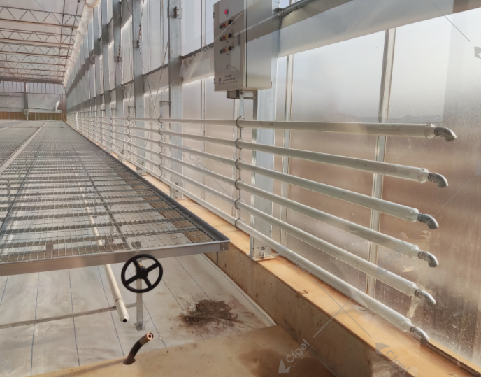 Greenhouse perimeter heating pipes and local control panel beside crop benches for greenhouse boiler sizing