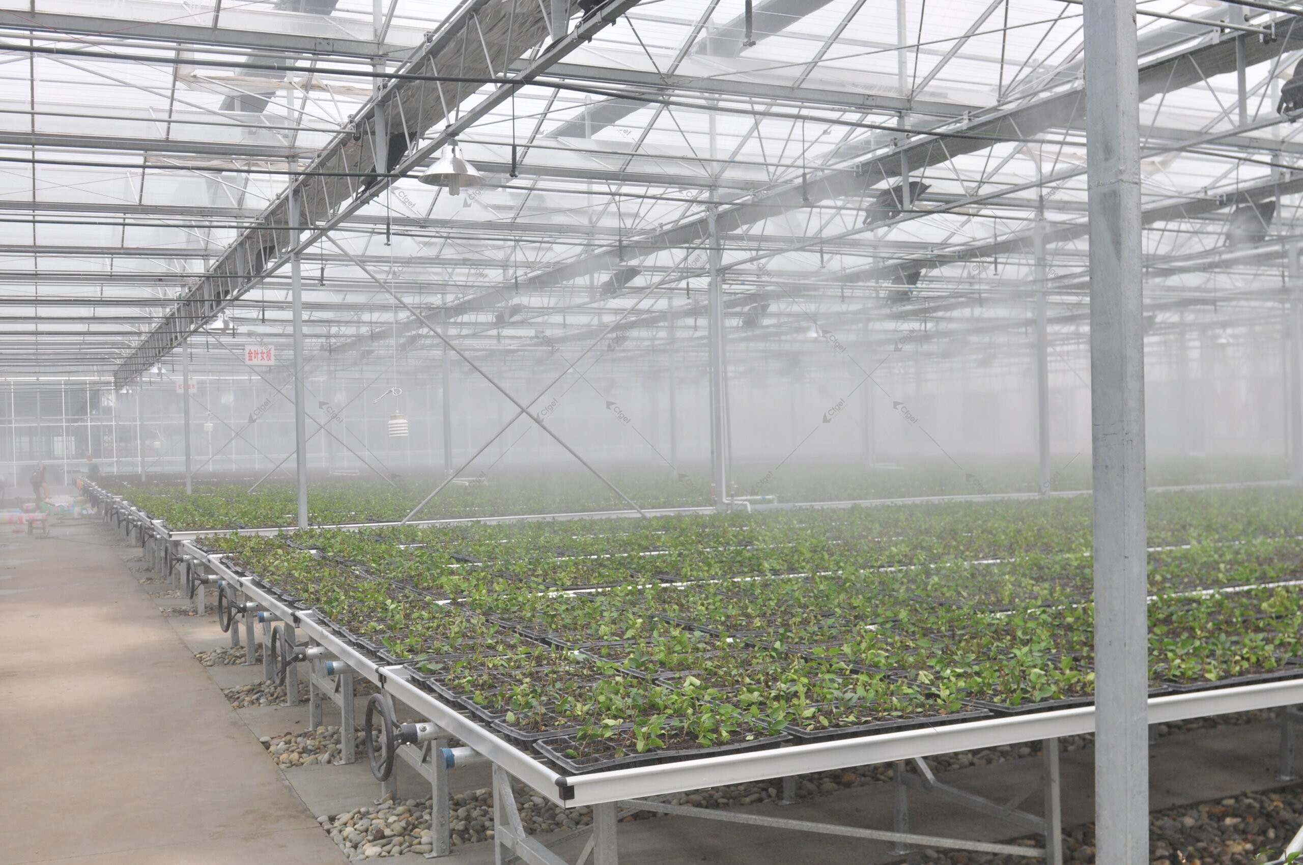 greenhouse climate design planning image for greenhouse climate sensor placement overview