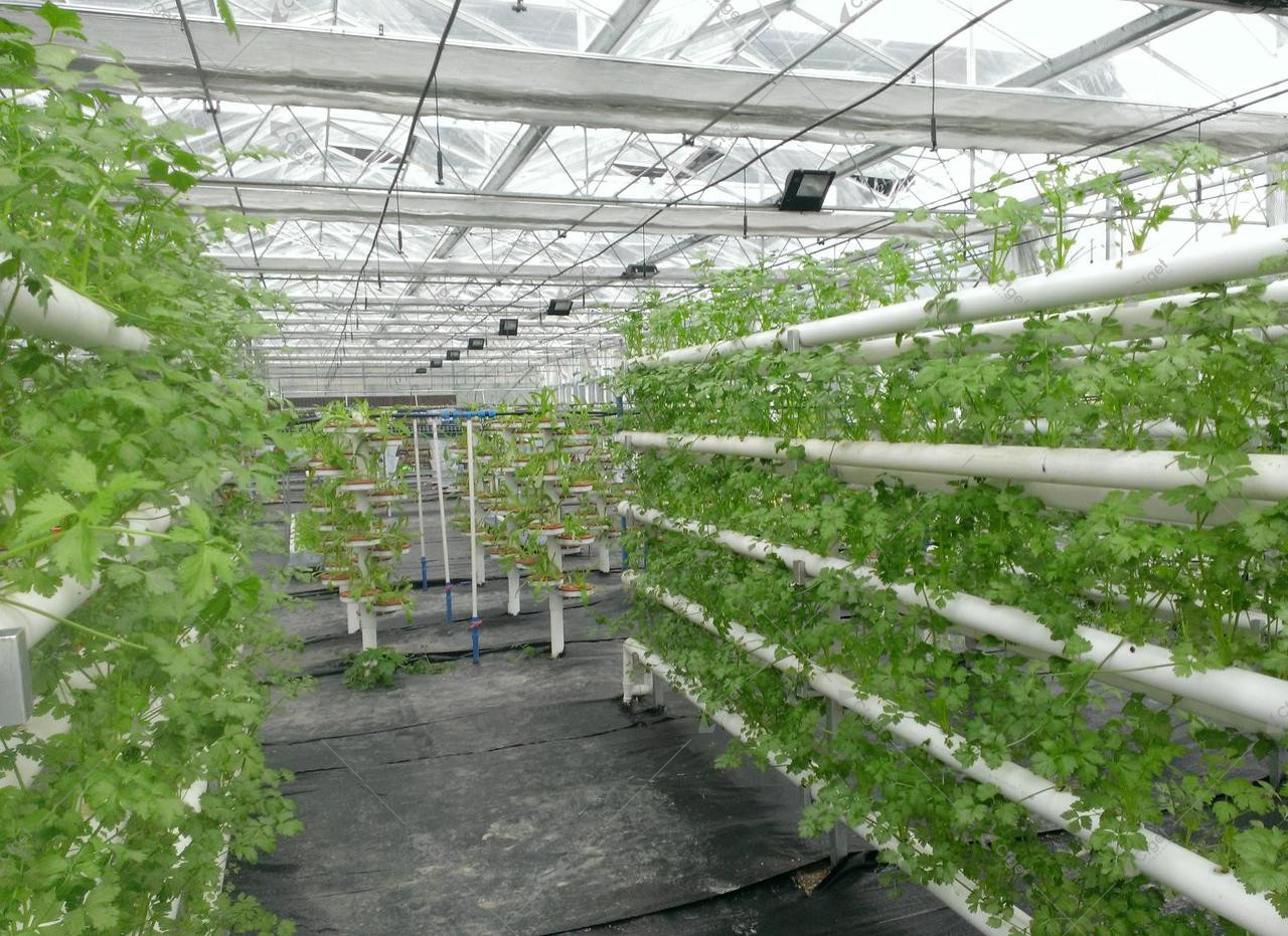 Greenhouse growing channels above a light-coloured floor