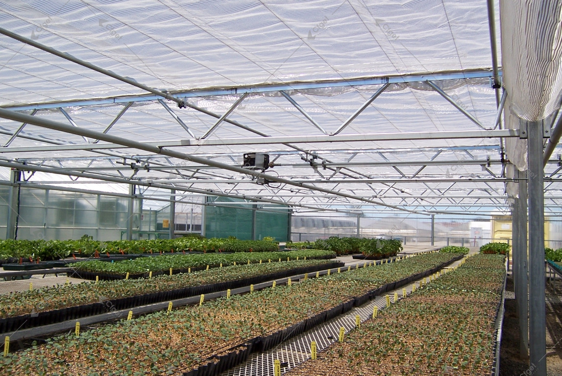 Retractable greenhouse shade screen above nursery benches