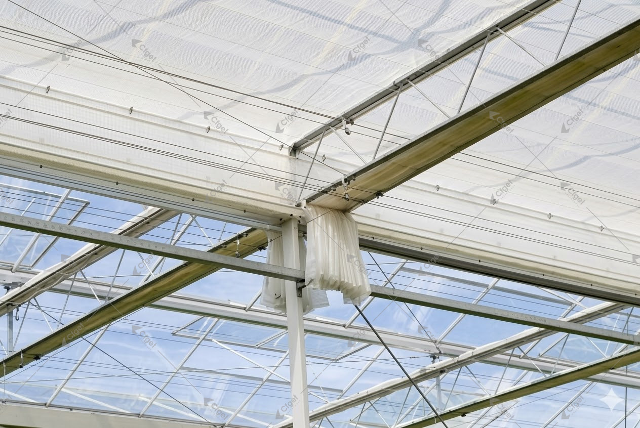 Retracted internal greenhouse screen below open roof vents