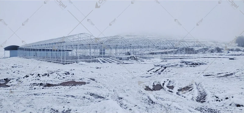 Монтаж конструкции теплицы Baicao в снежную погоду, Ганьсу