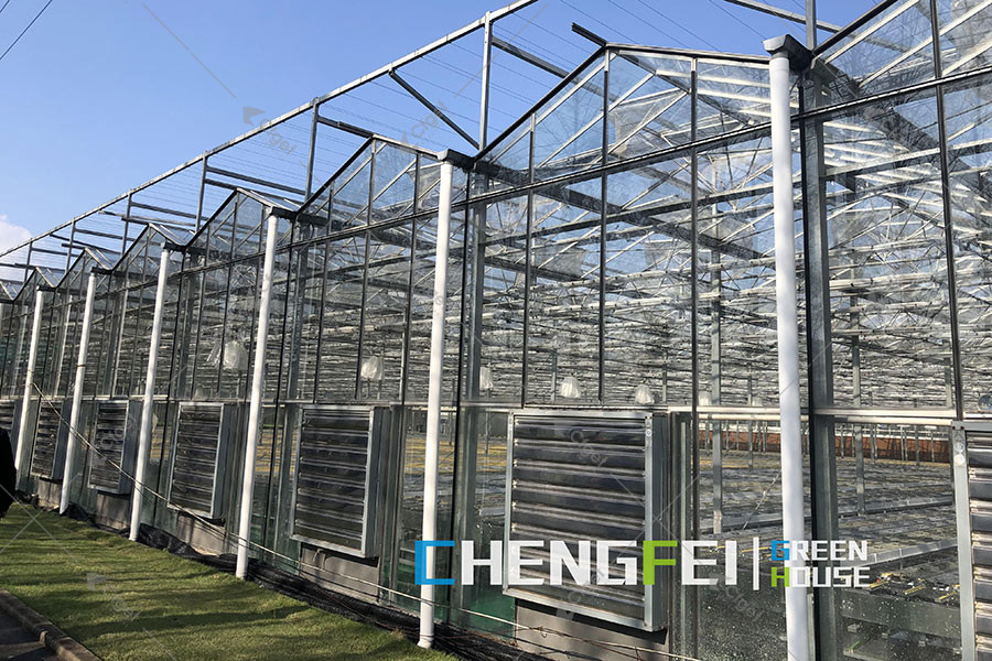 Glass greenhouse exterior with framed glazing, downpipes and louvered ventilation openings.