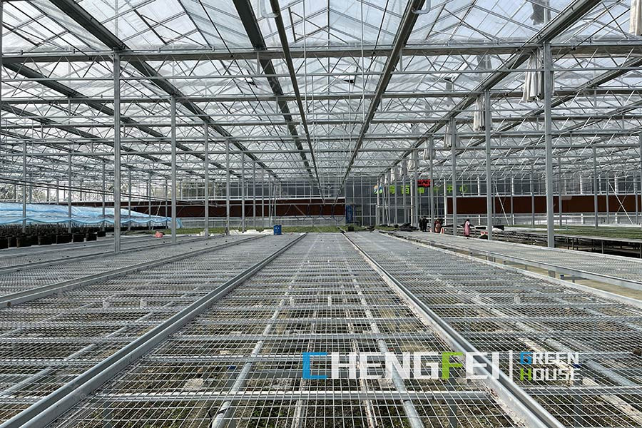 Metal growing benches and overhead framing inside a greenhouse.